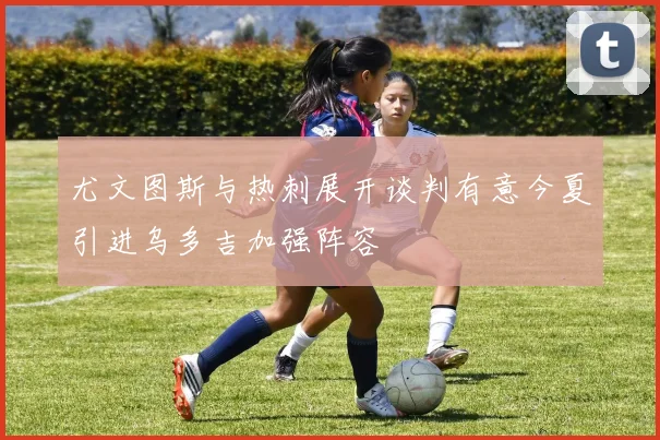 尤文图斯与热刺展开谈判有意今夏引进乌多吉加强阵容