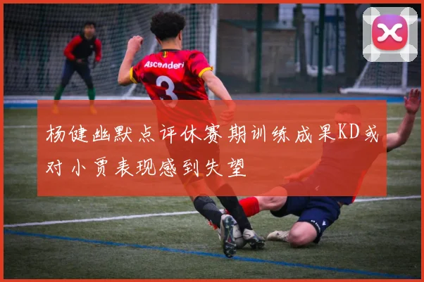 杨健幽默点评休赛期训练成果KD或对小贾表现感到失望